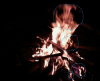 2011080213030000'.jpg